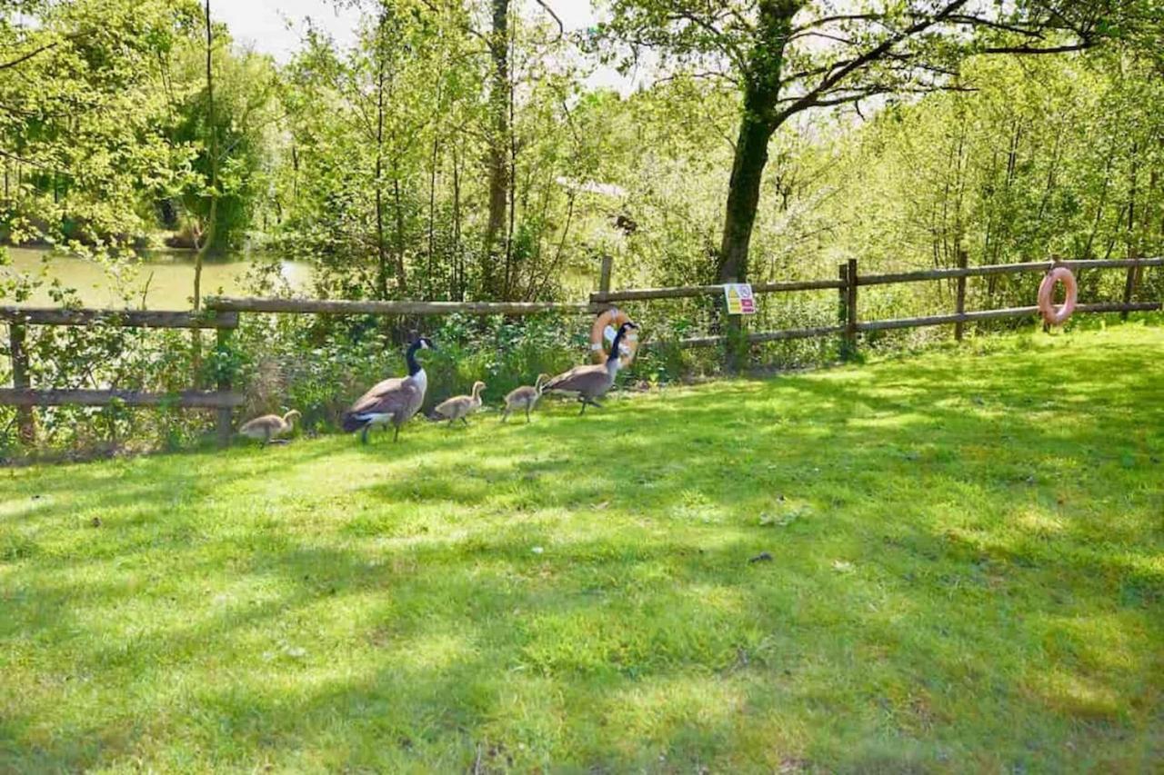 E7 Roebeck Country Park Villa Ryde  Exterior foto